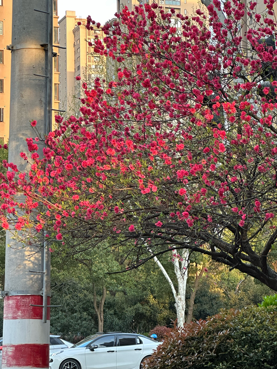 230330日常——下班路上