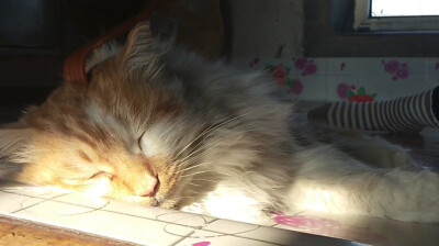 背景图（先关后用