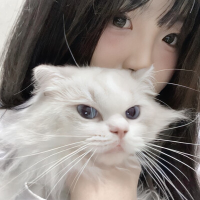 优质女头
#猫咪女生头像