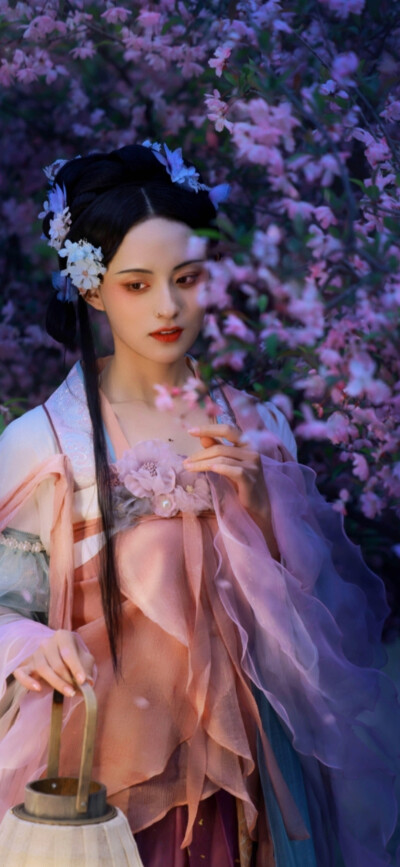 古风【汉服】芙蓉不及美人妆