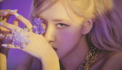 rose