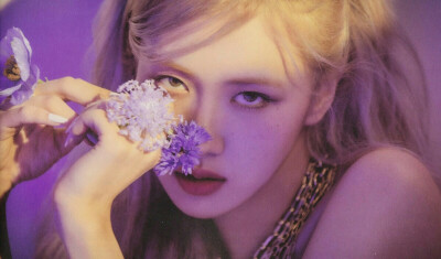 rose