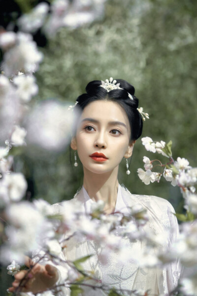 angelababy 