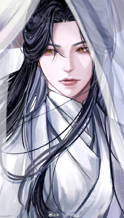 二哈和他的白猫师尊