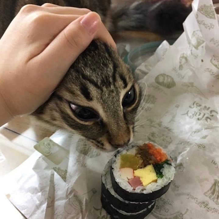 女头