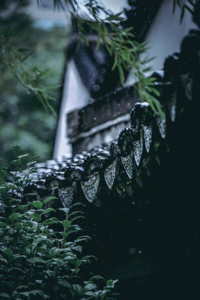 雨檐