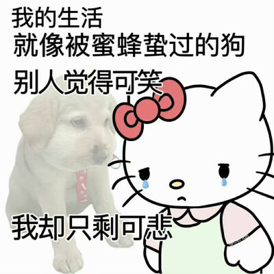 Hello Kitty阴阳怪气表情包