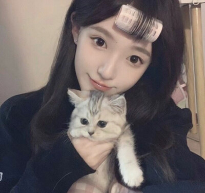 小猫情头
