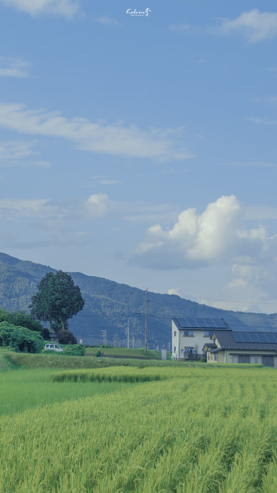 风景壁纸