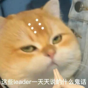 表情包