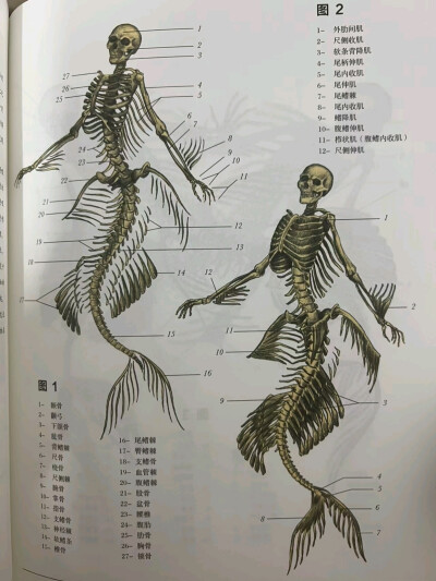 加缪：我们40岁时死于一颗我们在20岁那年射进自己心里的子弹