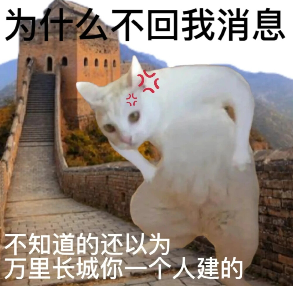 搞笑表情包