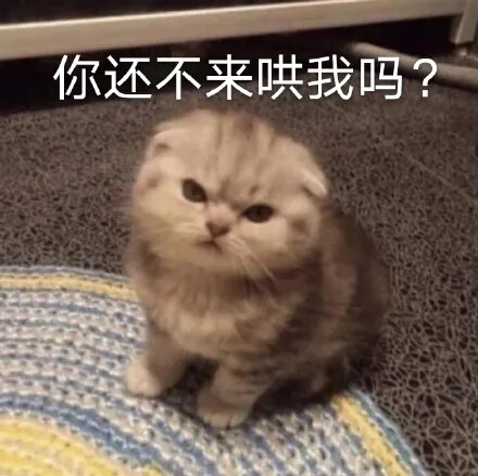 诶？！