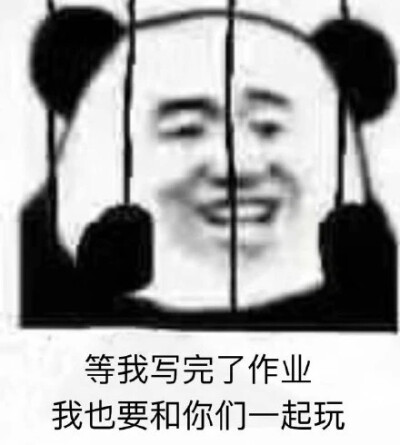 补作业表情包