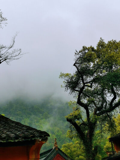 2023.3月底浙江台州临海之天台山国清寺