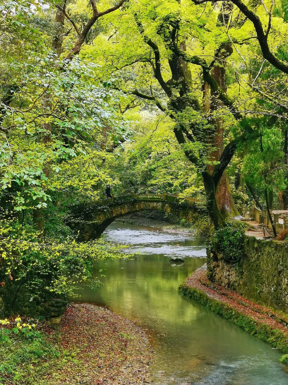 2023.3月底浙江台州临海之天台山国清寺