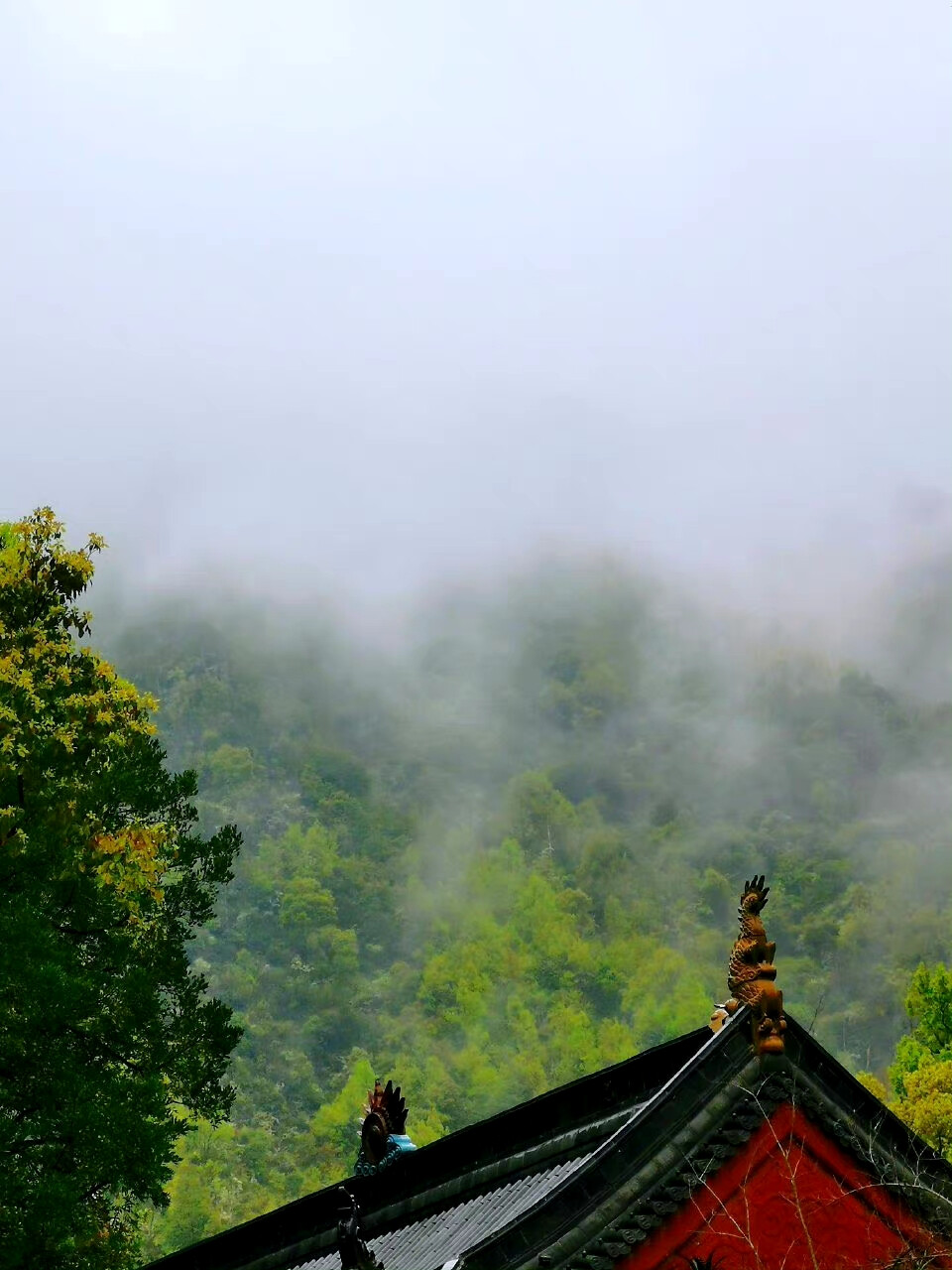 2023.3月底浙江台州临海之天台山国清寺