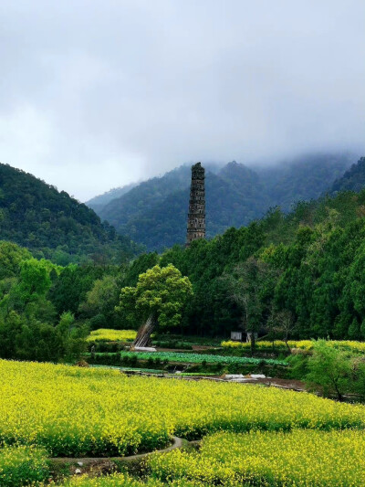 2023.3月底浙江台州临海之天台山国清寺