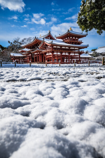 日本 京都 宇治 twi _iori_xx21 10年に一度の寒波で雪化粧と化した超レアな平等院鳳凰堂