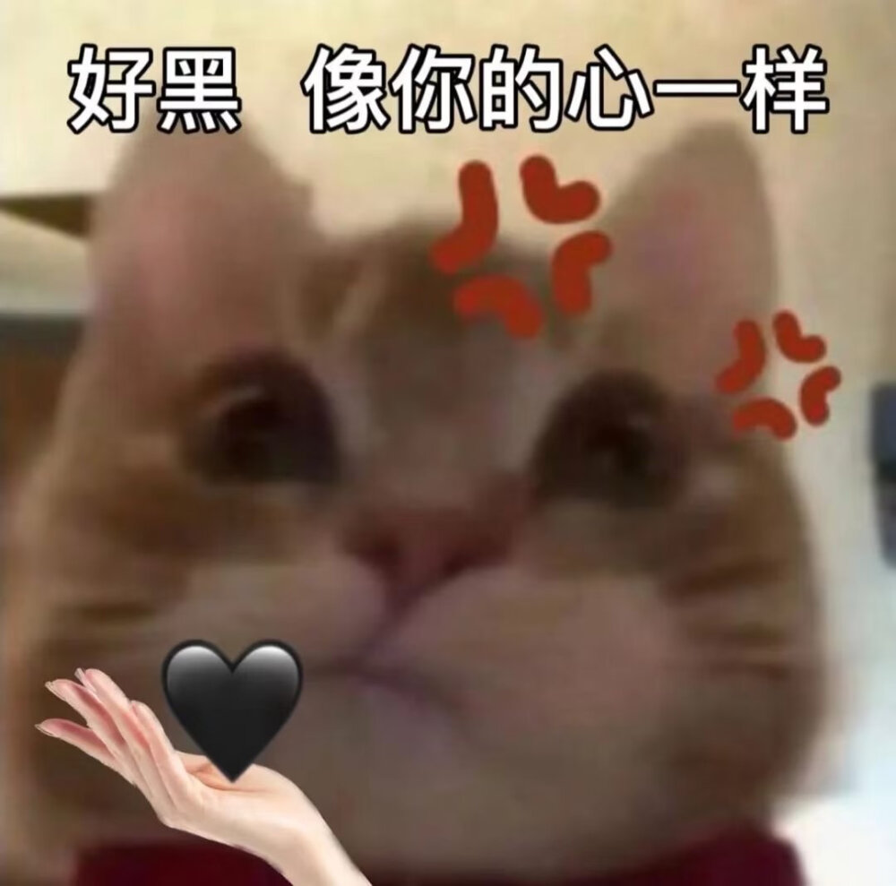 歪嘴猫表情包1