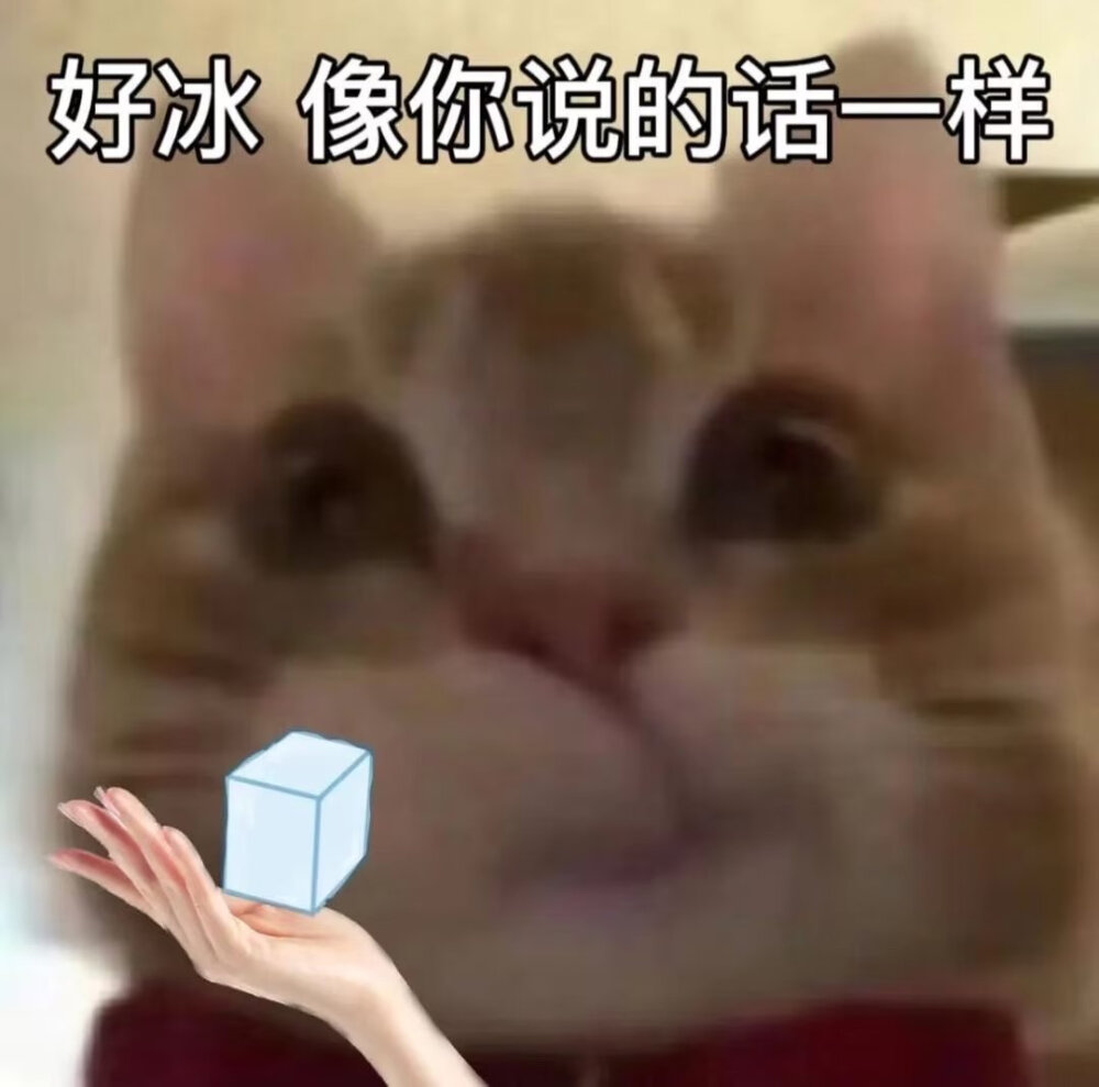 歪嘴猫表情包1