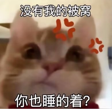 歪嘴猫表情包1