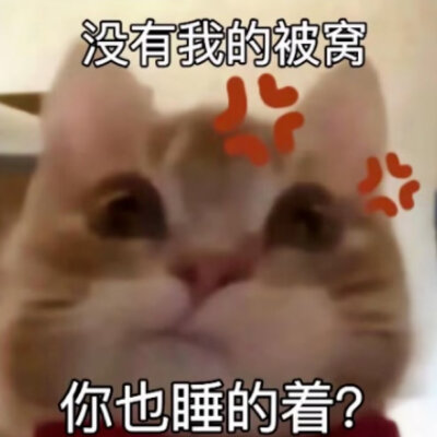 歪嘴猫2