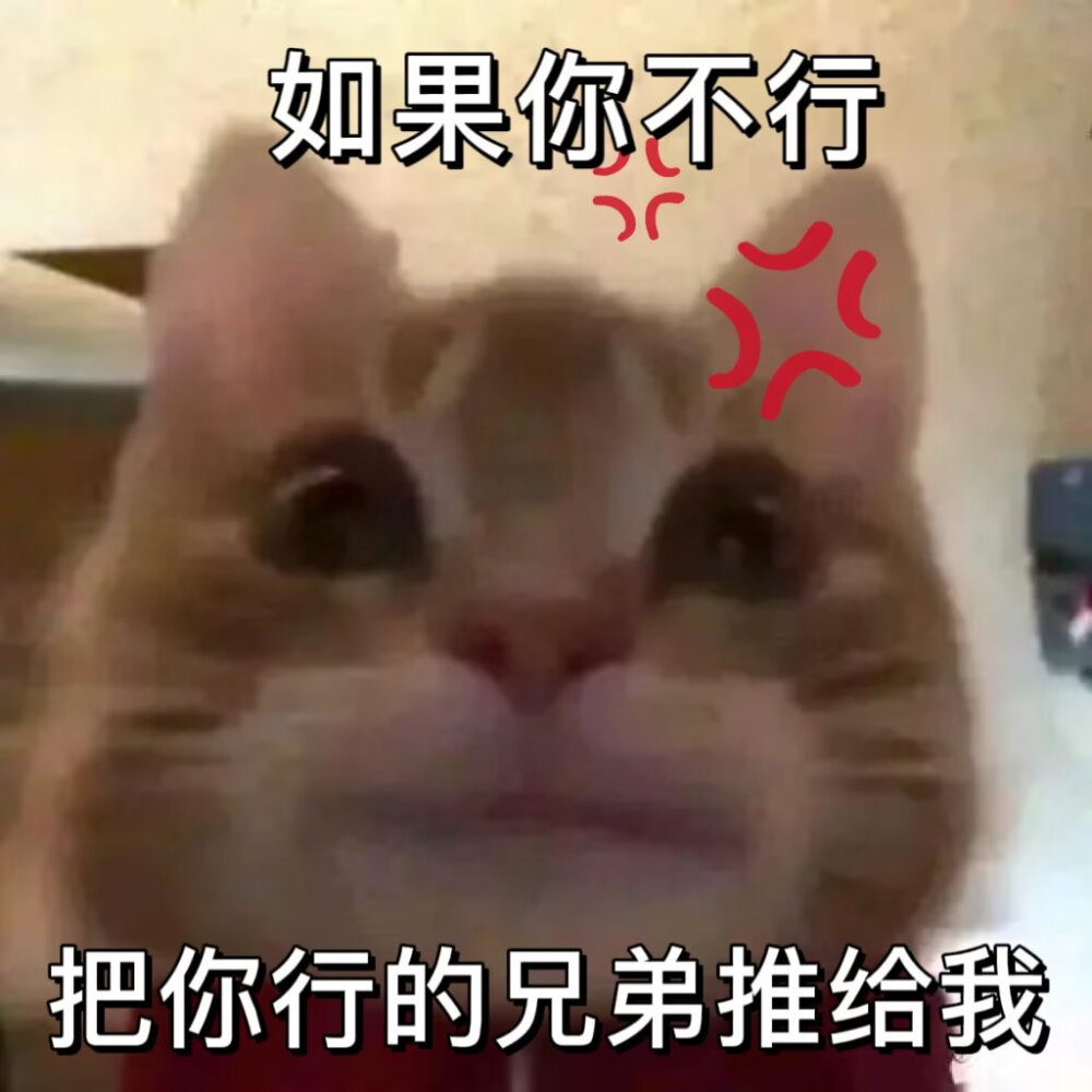 歪嘴猫2