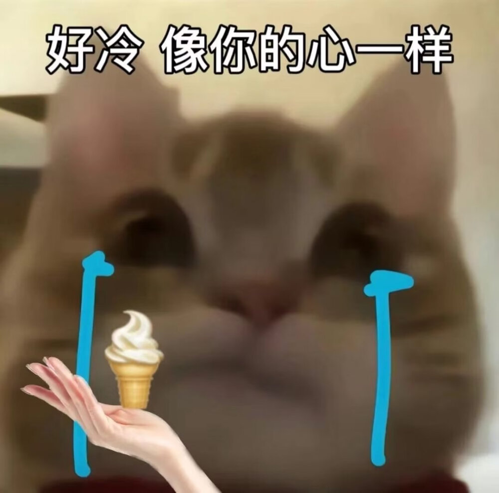 歪嘴猫2