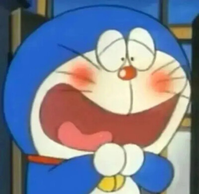 机器猫
多啦A梦
表情包
