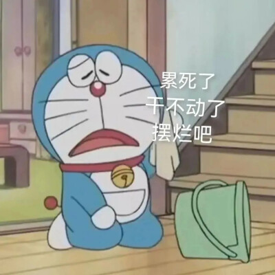 机器猫
多啦A梦
表情包