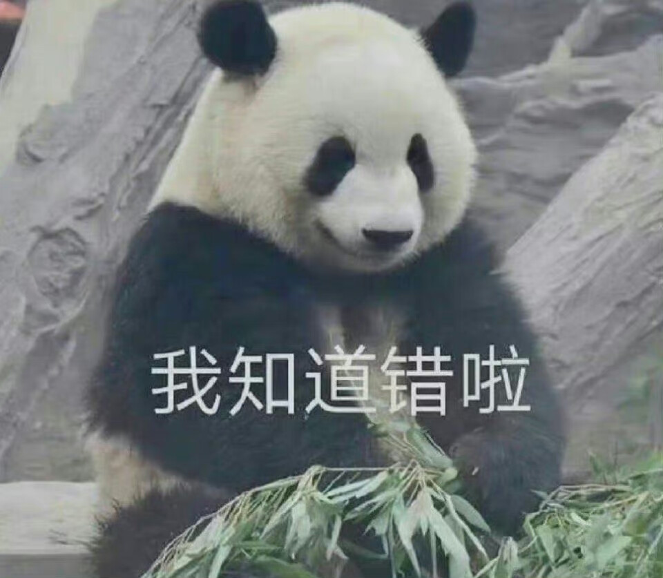 熊貓表情包