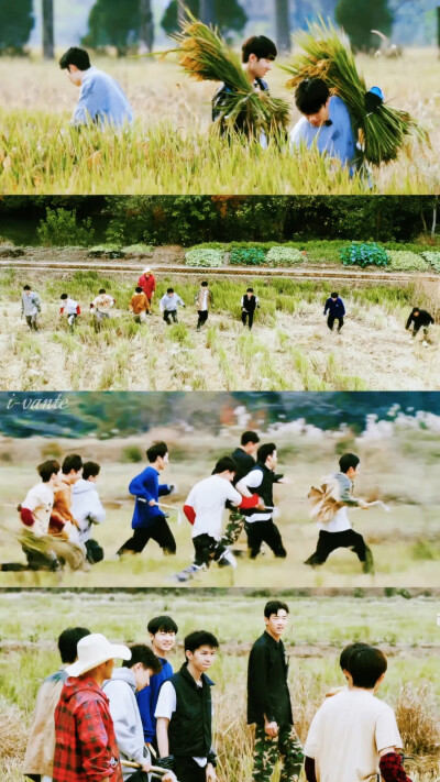 种地吧 图源vb：i-vante