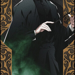 hp文斯内普