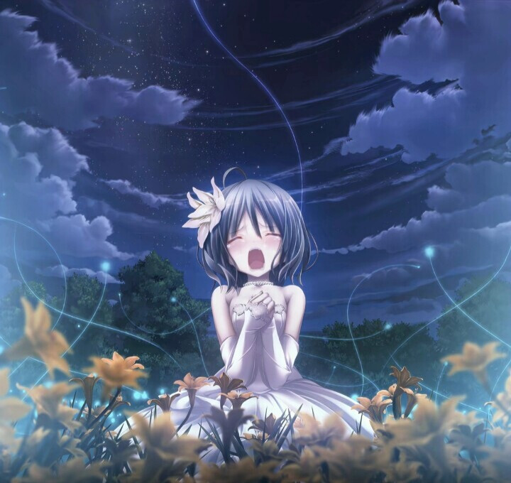 galgame
