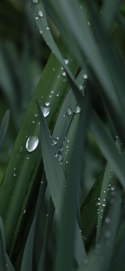 天青色等烟雨