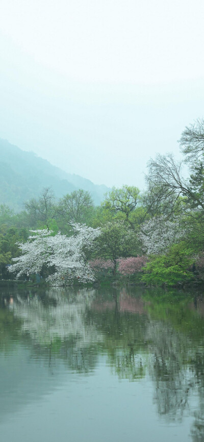 天青色等烟雨