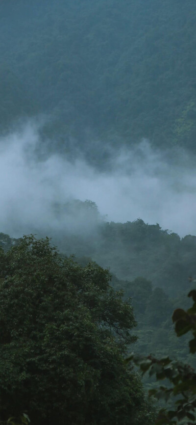 天青色等烟雨