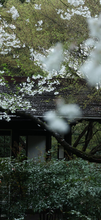 天青色等烟雨