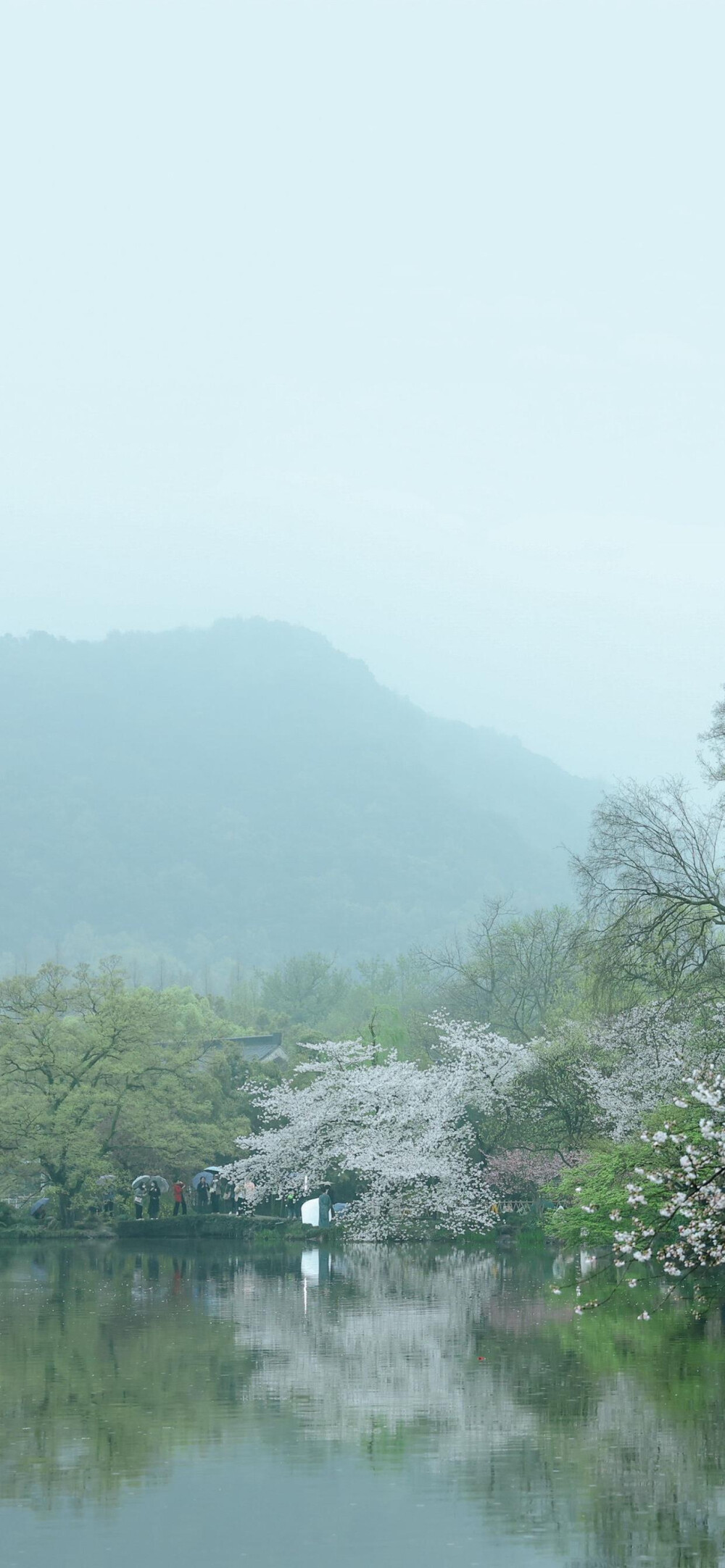 天青色等烟雨