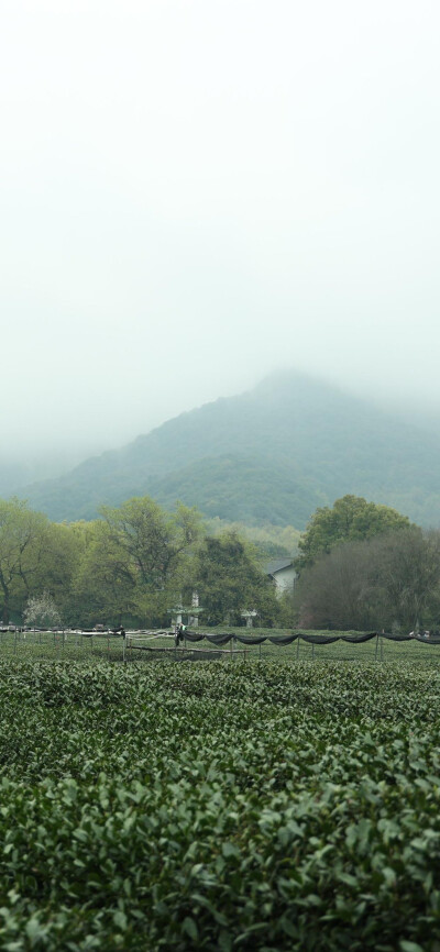 天青色等烟雨