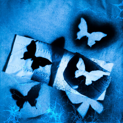 蝶舞（#CanUKeepASecret ）