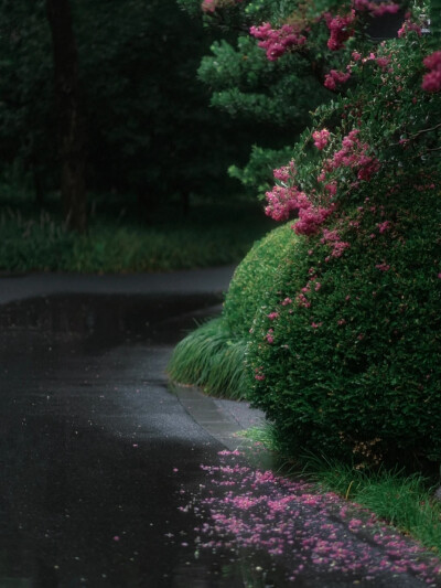 南朝四百八十寺.多少楼台烟雨中。