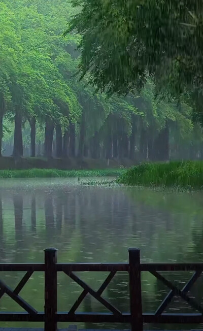 南朝四百八十寺.多少楼台烟雨中。