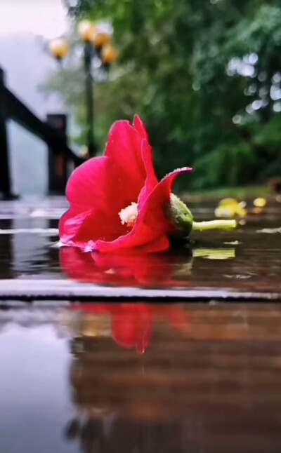 南朝四百八十寺.多少楼台烟雨中。