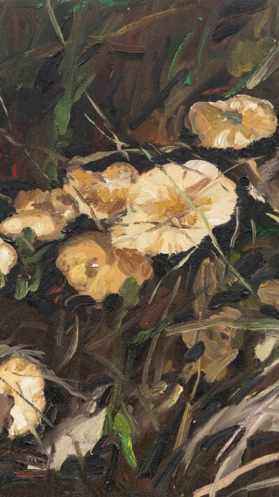 油画壁纸
iPad壁纸