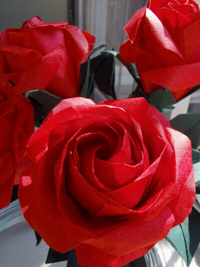 折纸玫瑰花束，佐藤新现代玫瑰，佳人玫瑰