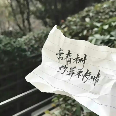 杜鹃花把花期给了你，而你却说杜鹃无香