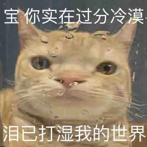 表情包，搞笑，可爱，萌宠