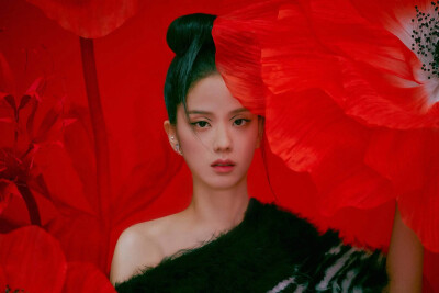 Jisoo金智秀
solo
flower